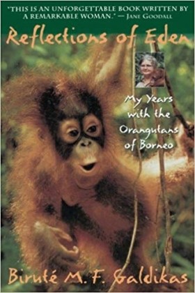 Book Club: Reflections of Eden: My Years with the Orangutans of Borneo  by Birute M. F. Galdikas