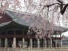 Best of South Korea with Temple Stay