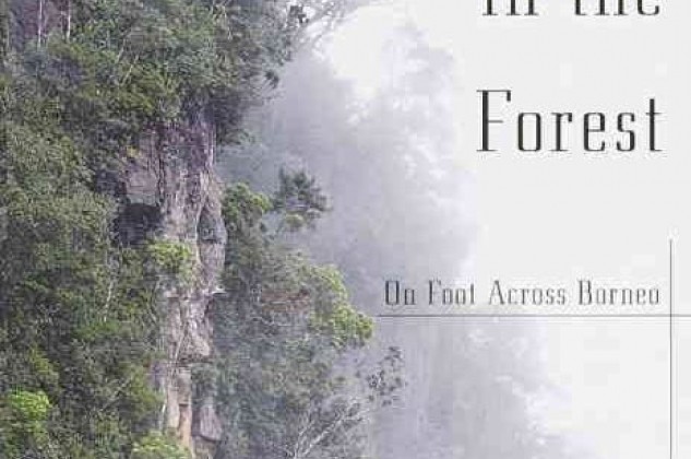 Recommended Reading - Stranger in the Forest, by Eric Hansen