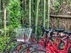 Shimanami Kaido cycle route - self guided
